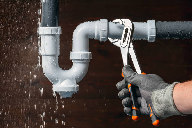 Professional Plumbing technician working in Bondville, IL